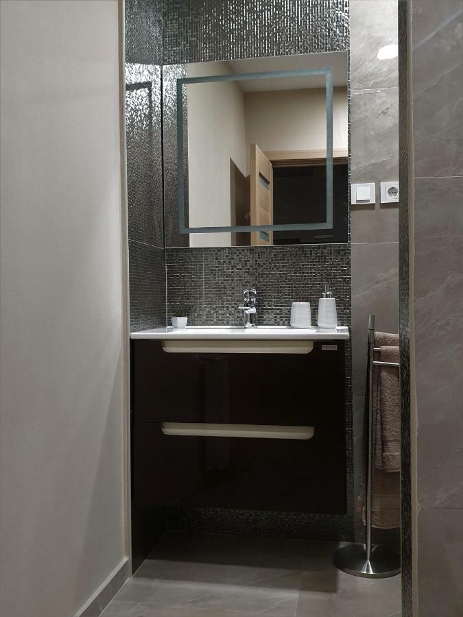 Irina Apartments Timişoara Eksteriør bilde
