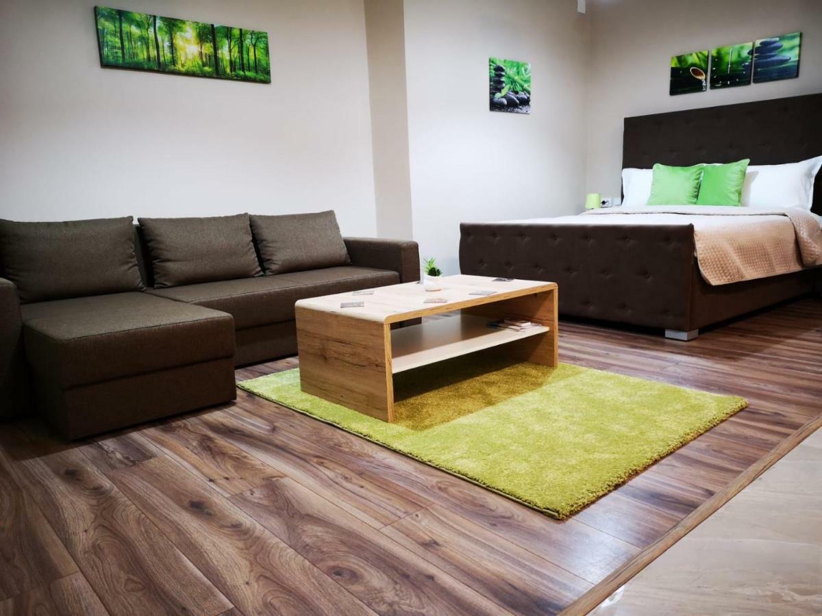 Irina Apartments Timişoara Eksteriør bilde